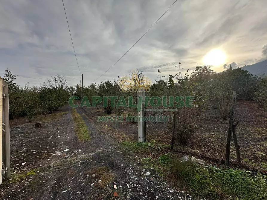 Immagine 7 di Terreno agricolo in vendita  in via recupe a Ottaviano