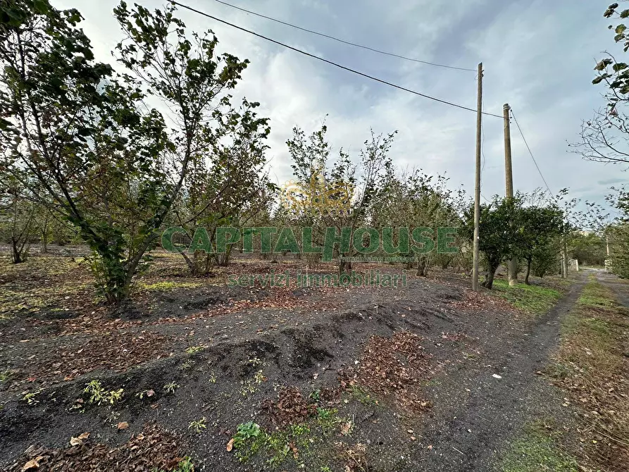 terreno agricolo in vendita ad Ottaviano