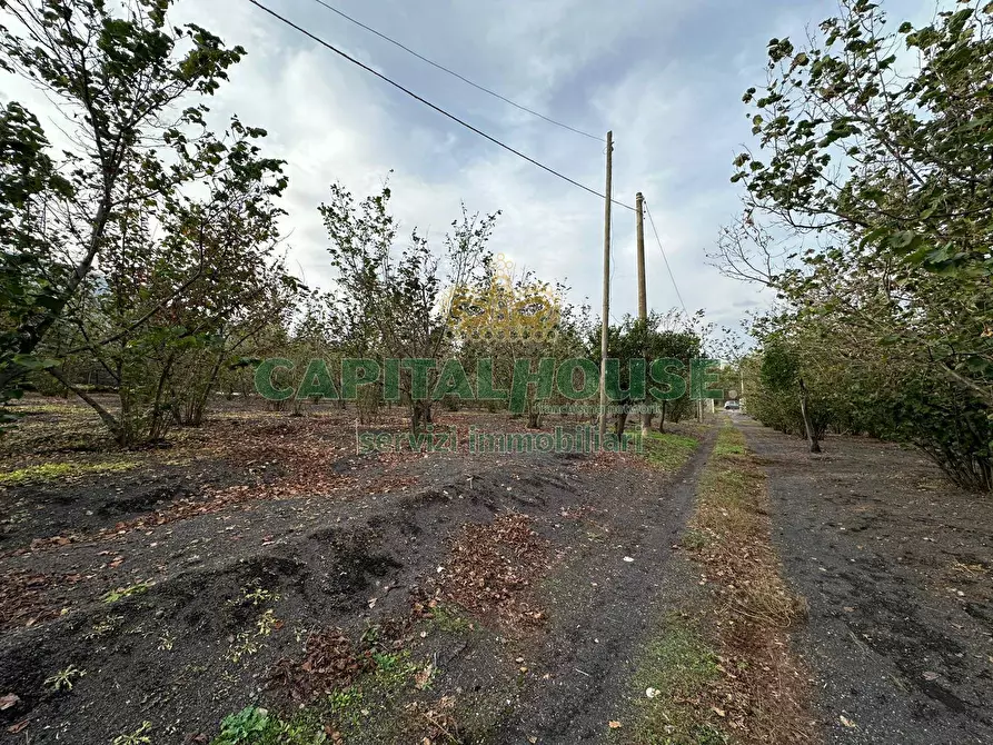 Immagine 3 di Terreno agricolo in vendita  in via recupe a Ottaviano