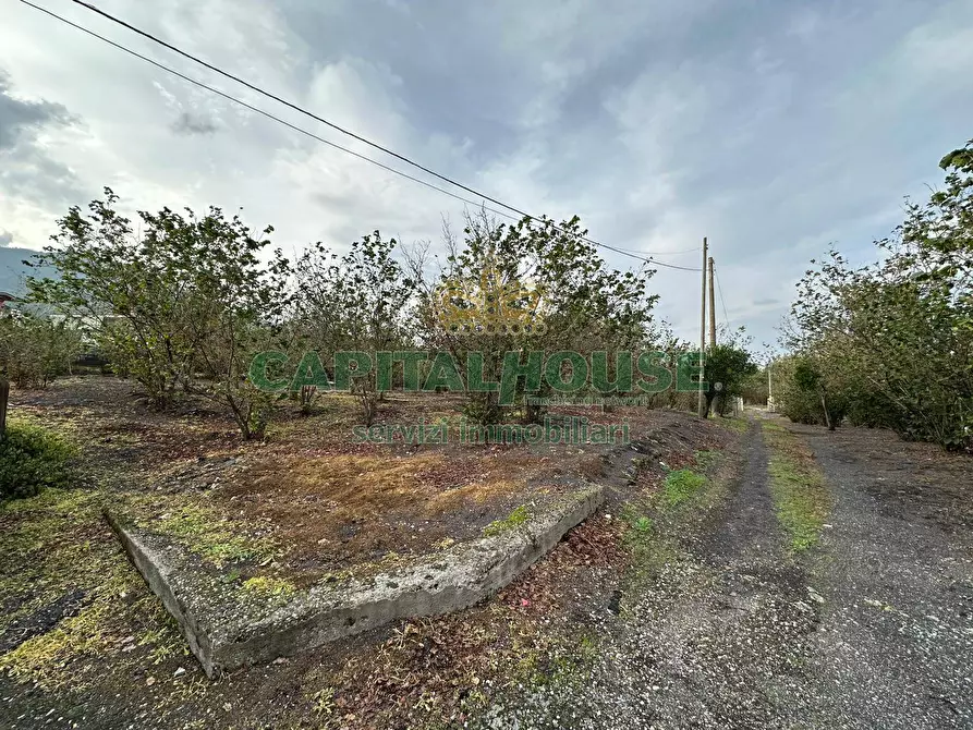 Immagine 5 di Terreno agricolo in vendita  in via recupe a Ottaviano