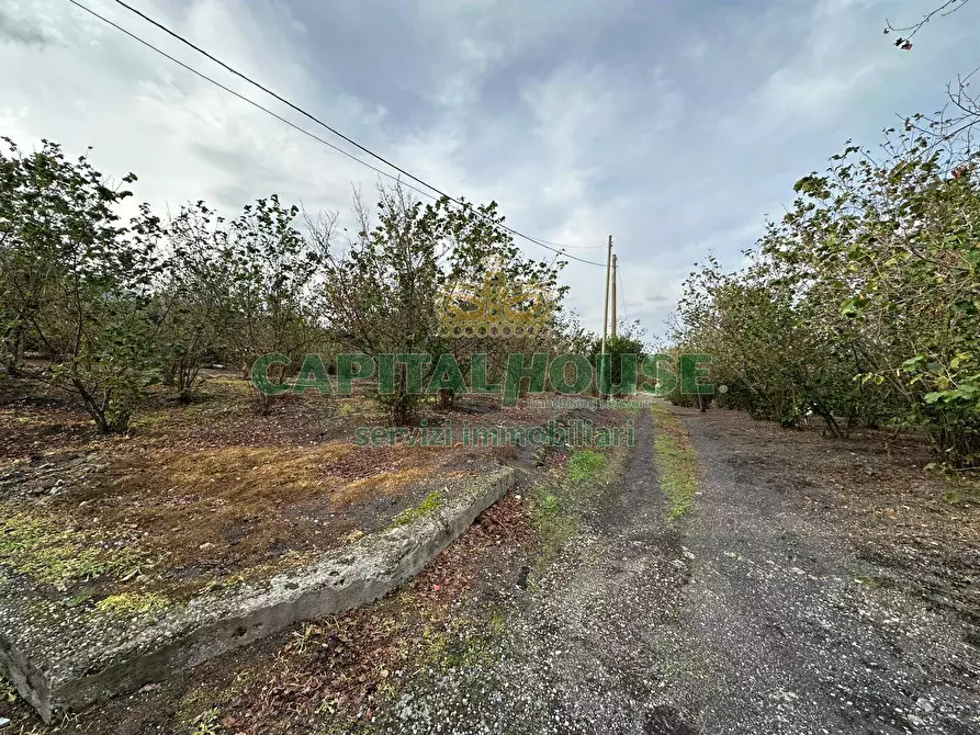 Immagine 2 di Terreno agricolo in vendita  in via recupe a Ottaviano