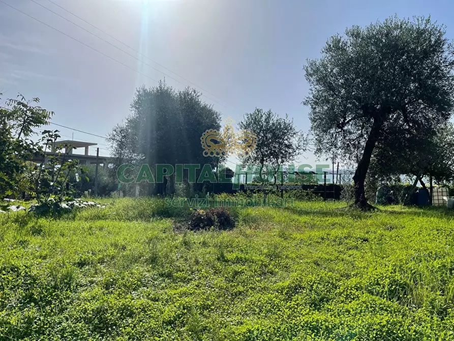 Immagine 4 di Terreno residenziale in vendita  in via fusaro a Avella