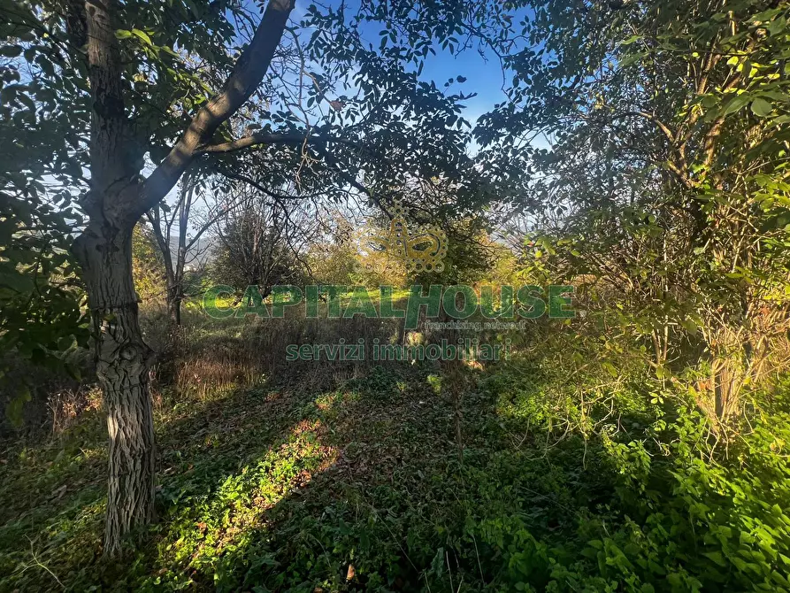 Immagine 1 di Terreno agricolo in vendita  a Mercato San Severino