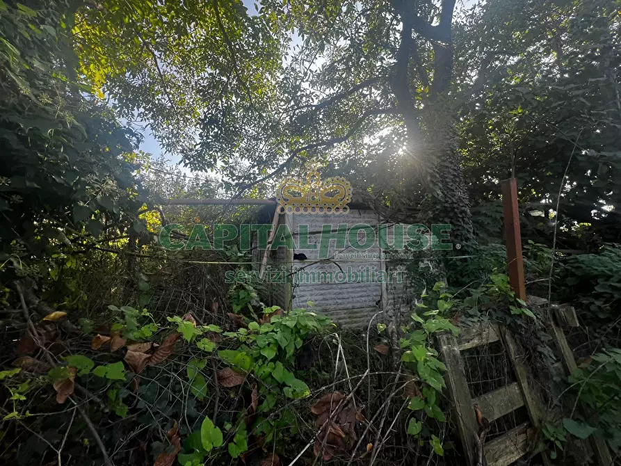 Immagine 2 di Terreno agricolo in vendita  in Via Spiano a Mercato San Severino