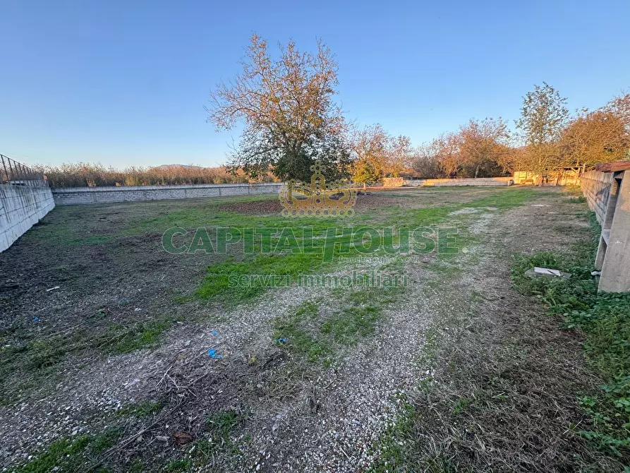 Immagine 1 di Terreno agricolo in affitto  a Saviano