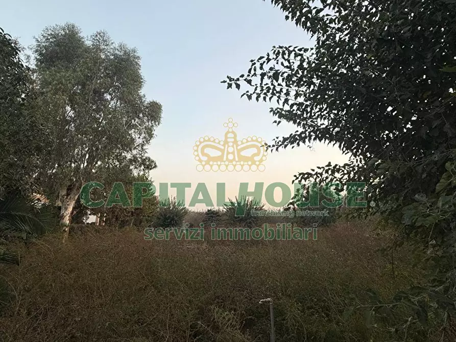 Immagine 7 di Terreno agricolo in vendita  in scisciano a Scisciano