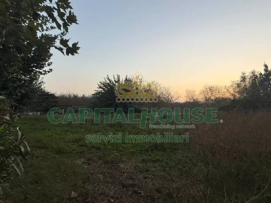 Immagine 8 di Terreno agricolo in vendita  in scisciano a Scisciano