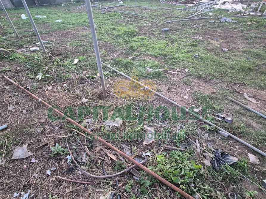 Immagine 3 di Terreno residenziale in vendita  a Macerata Campania