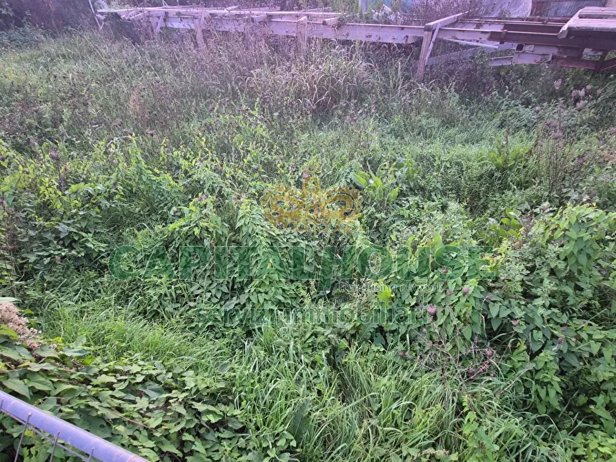 Immagine 4 di Terreno residenziale in vendita  a Macerata Campania