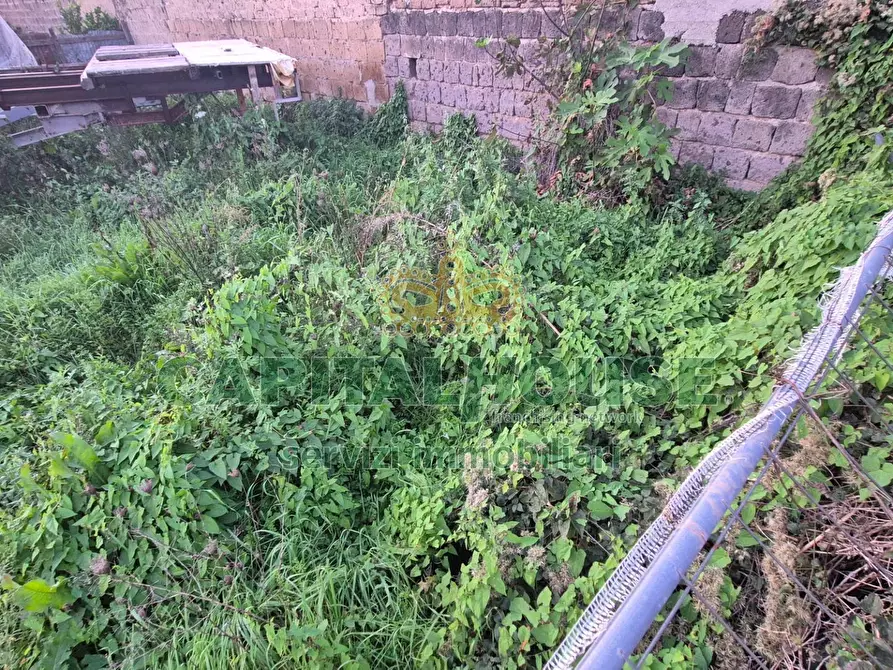 Immagine 5 di Terreno residenziale in vendita  a Macerata Campania