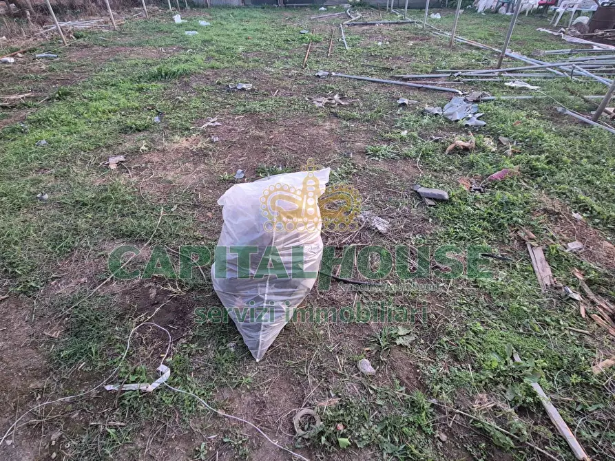 Immagine 19 di Terreno residenziale in vendita  a Macerata Campania