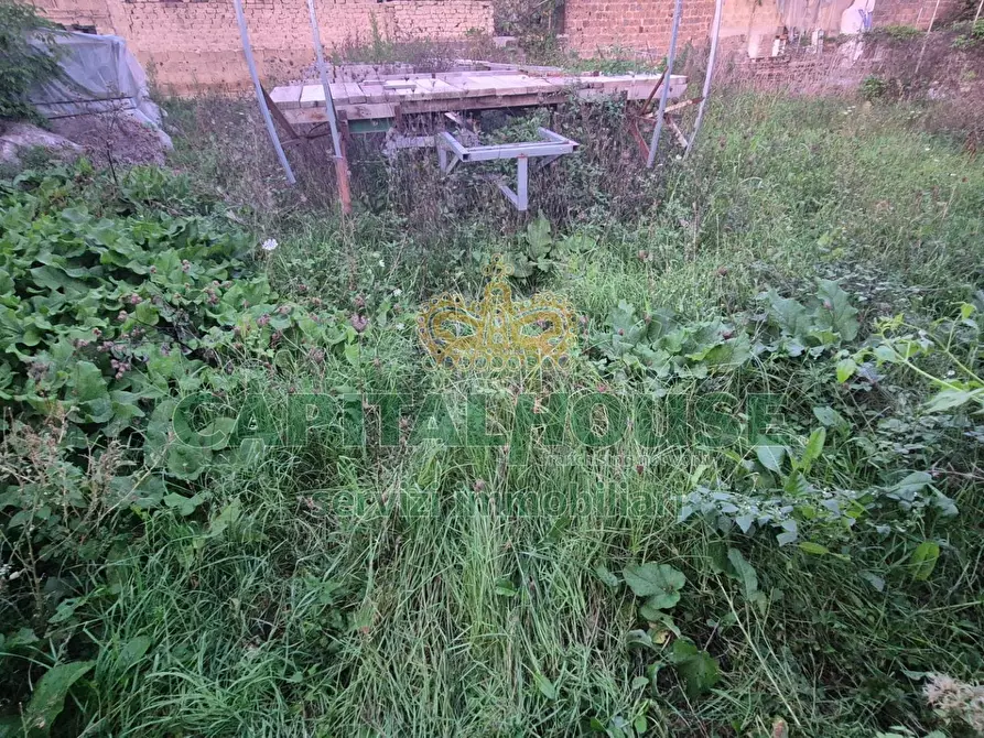 Immagine 22 di Terreno residenziale in vendita  a Macerata Campania