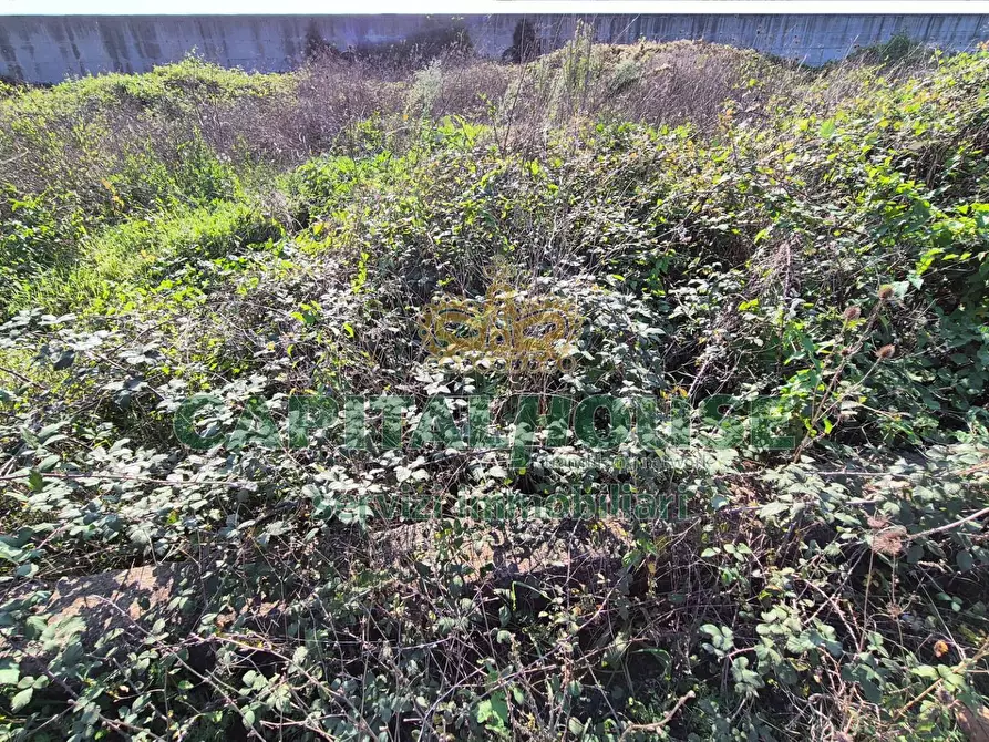 Immagine 3 di Locale commerciale in vendita  a Camigliano