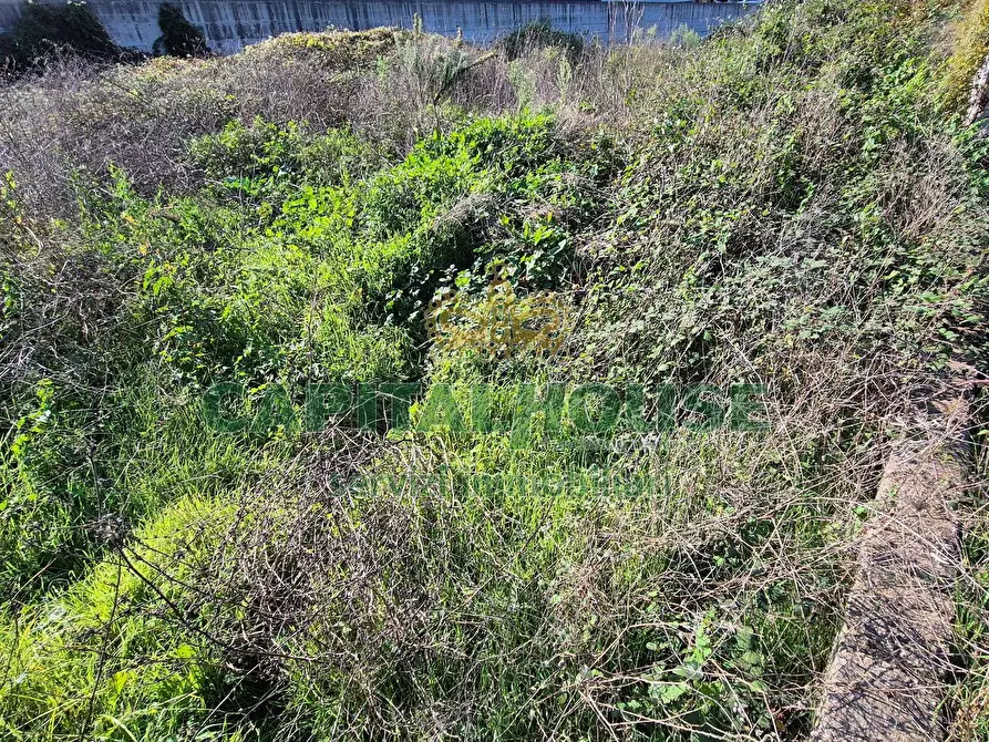 Immagine 4 di Locale commerciale in vendita  a Camigliano