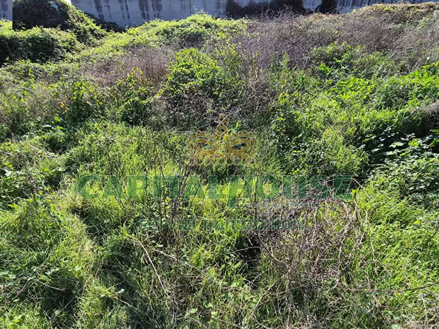 Immagine 5 di Locale commerciale in vendita  a Camigliano