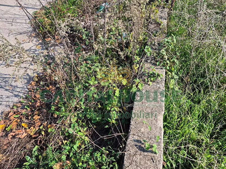 Immagine 6 di Locale commerciale in vendita  a Camigliano