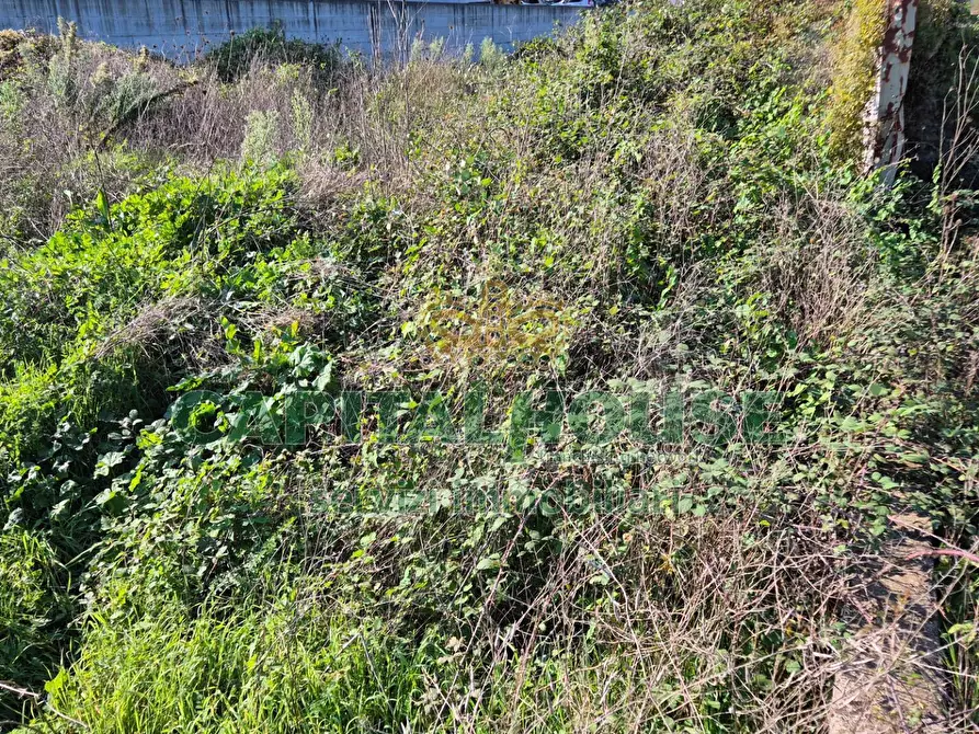 Immagine 7 di Locale commerciale in vendita  a Camigliano