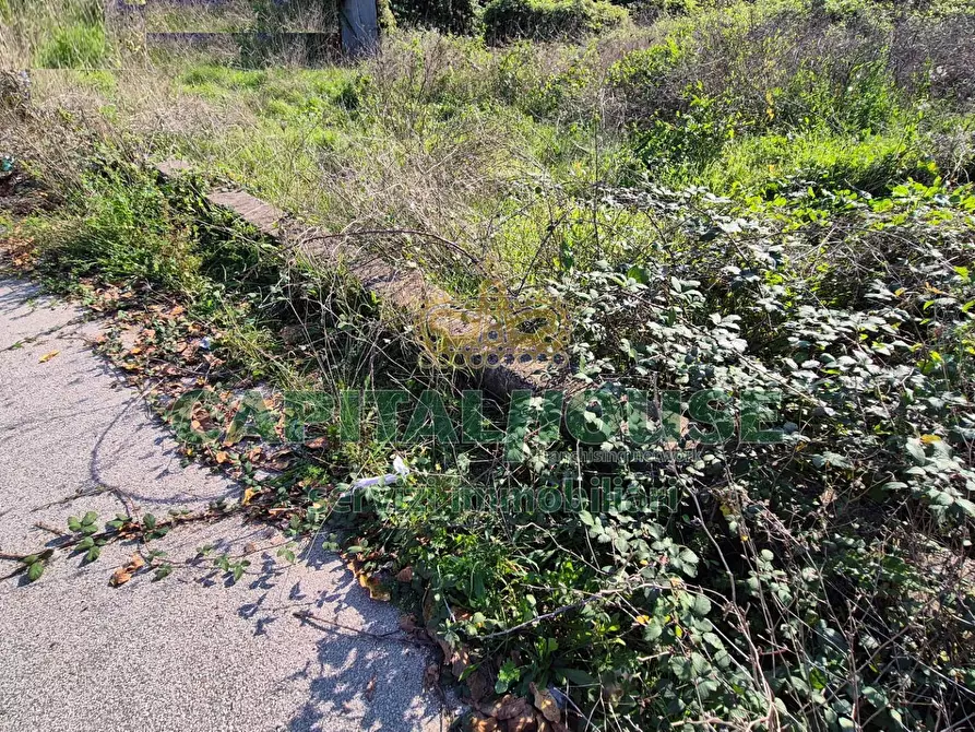 Immagine 10 di Locale commerciale in vendita  a Camigliano