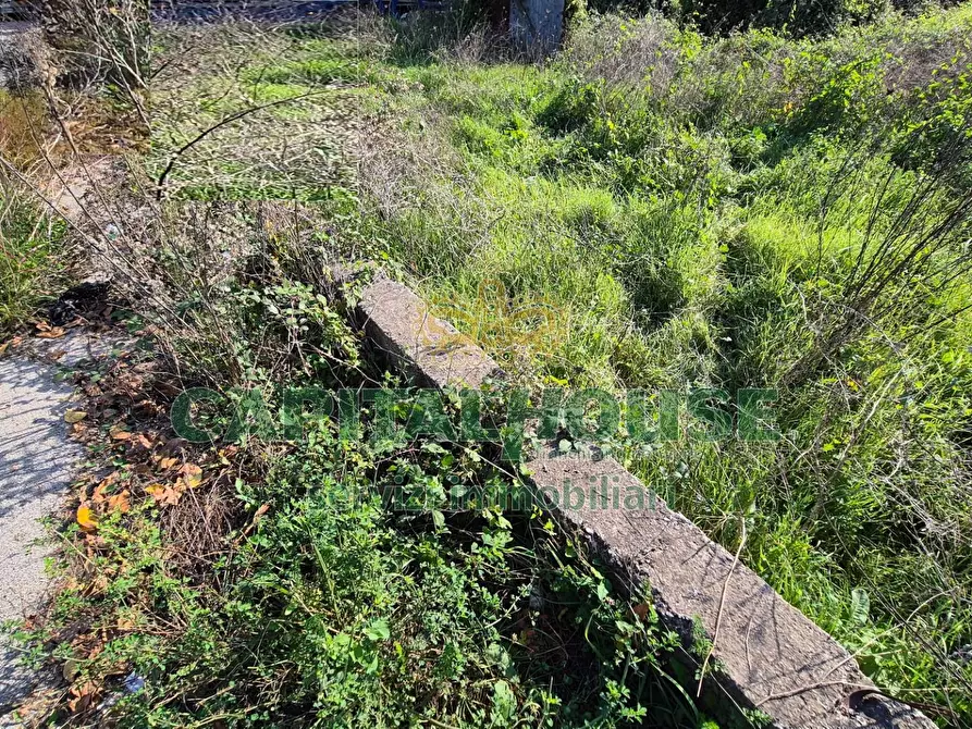 Immagine 11 di Locale commerciale in vendita  a Camigliano