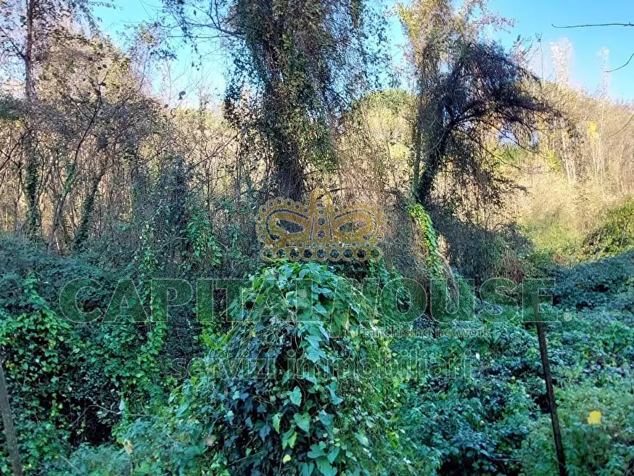 Immagine 2 di Terreno agricolo in vendita  in via Scavolella a Ottaviano
