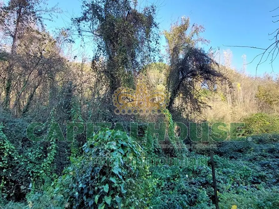 Immagine 3 di Terreno agricolo in vendita  in via Scavolella a Ottaviano