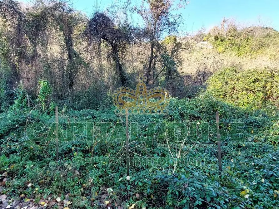 Immagine 4 di Terreno agricolo in vendita  in via Scavolella a Ottaviano