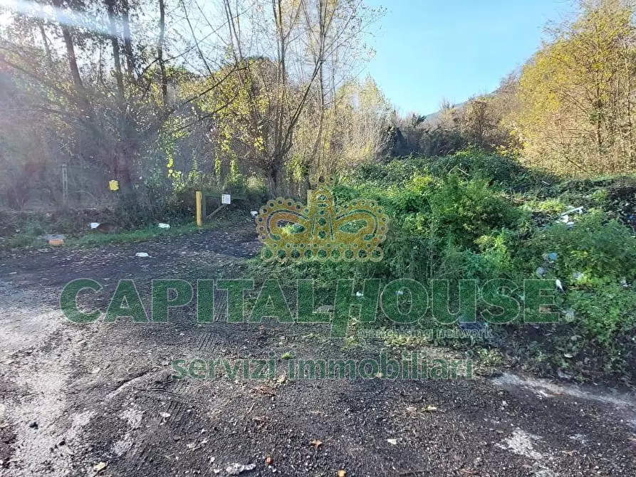 Immagine 6 di Terreno agricolo in vendita  in via Scavolella a Ottaviano