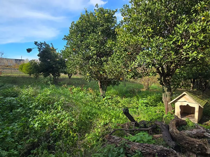 Immagine 12 di Villa in vendita  in Viale Carlo III a Capodrise