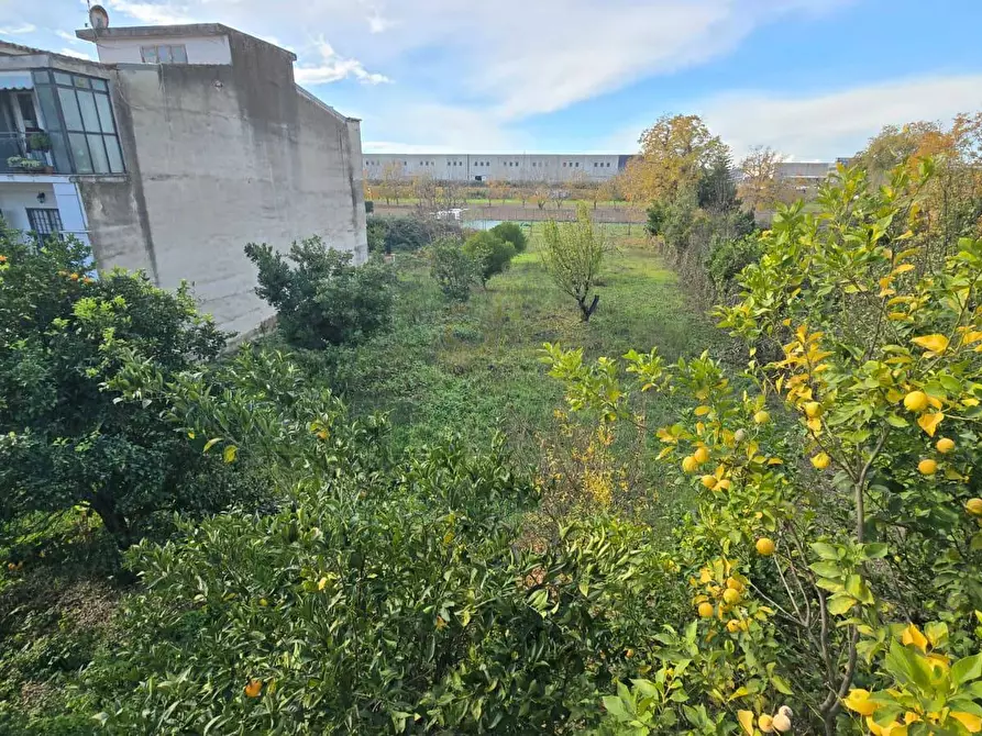 Immagine 14 di Villa in vendita  in Viale Carlo III a Capodrise