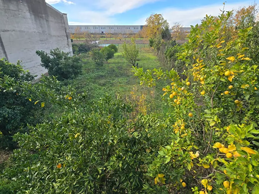 Immagine 15 di Villa in vendita  in Viale Carlo III a Capodrise
