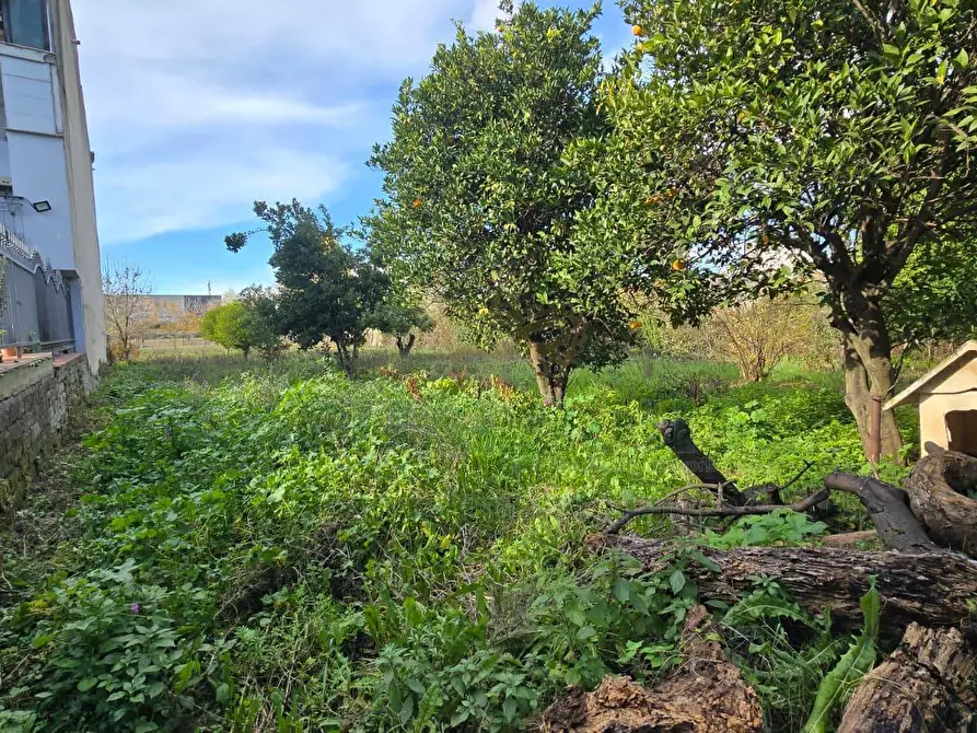 Immagine 13 di Villa in vendita  in Viale Carlo III a Capodrise