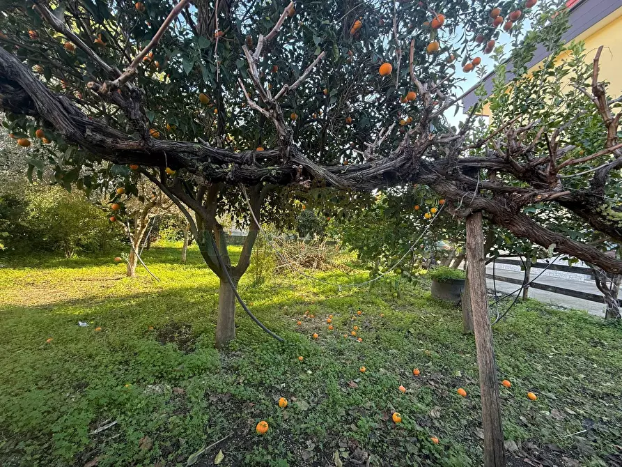 Immagine 11 di Villa in vendita  a Eboli