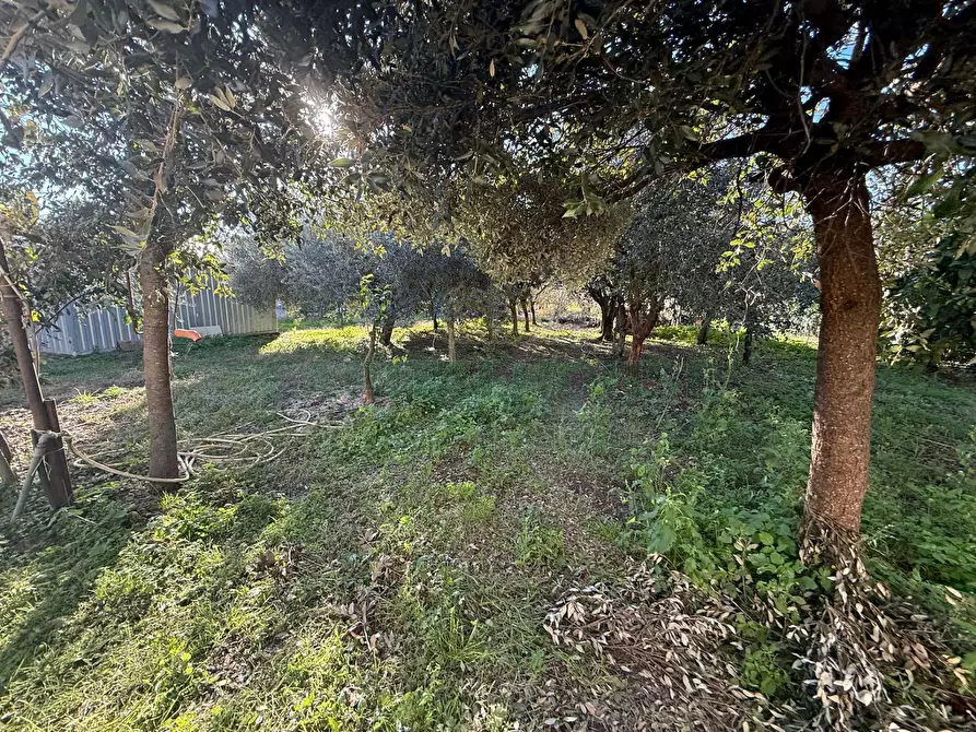 Immagine 10 di Villa in vendita  a Eboli