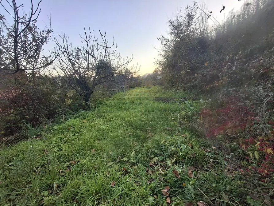 Immagine 1 di Terreno agricolo in vendita  in Via delle Puglie a Mercato San Severino