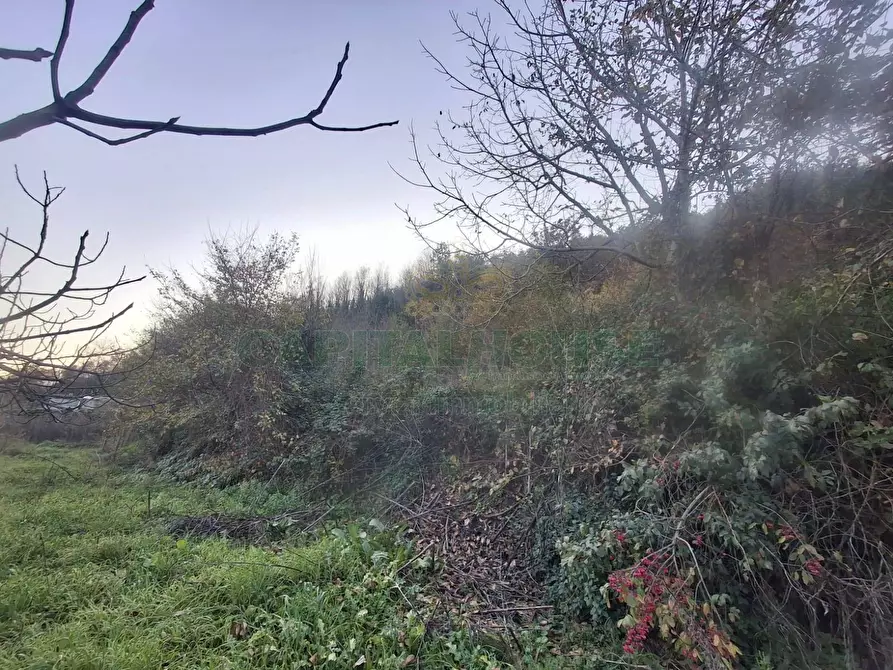 Immagine 2 di Terreno agricolo in vendita  in Via delle Puglie a Mercato San Severino