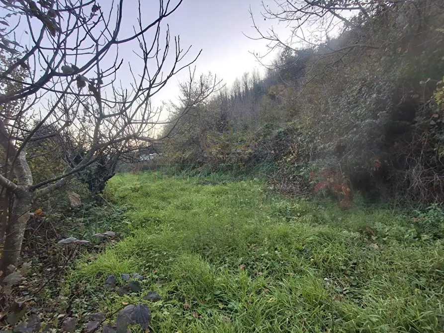 Immagine 3 di Terreno agricolo in vendita  in Via delle Puglie a Mercato San Severino