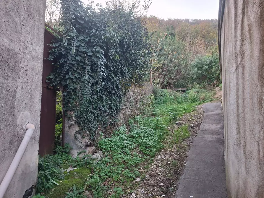 Immagine 4 di Terreno agricolo in vendita  in Via delle Puglie a Mercato San Severino