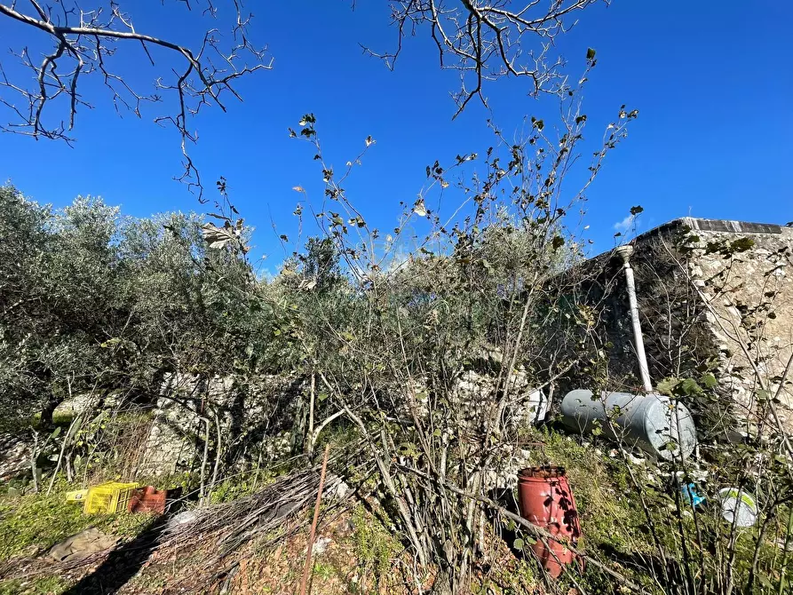 Immagine 2 di Terreno agricolo in vendita  in via tora a Avella