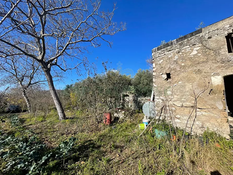 Immagine 3 di Terreno agricolo in vendita  in via tora a Avella