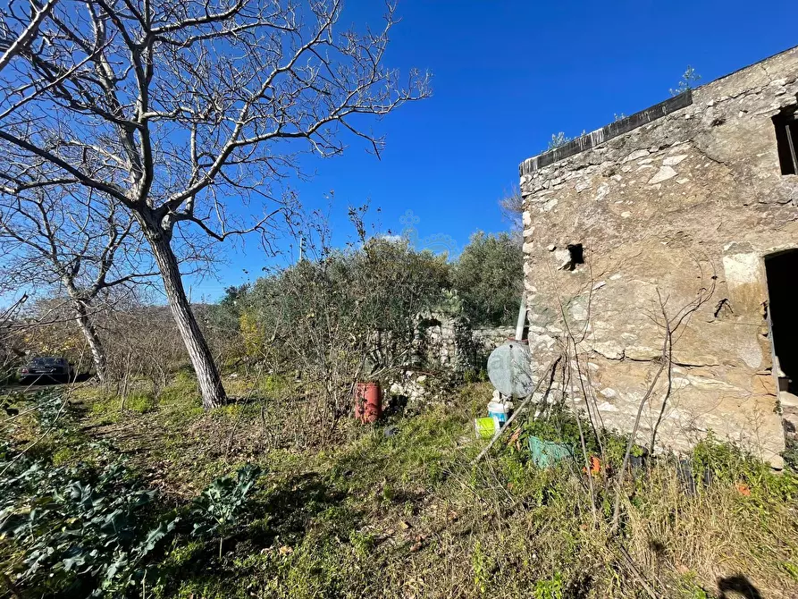 Immagine 4 di Terreno agricolo in vendita  in via tora a Avella