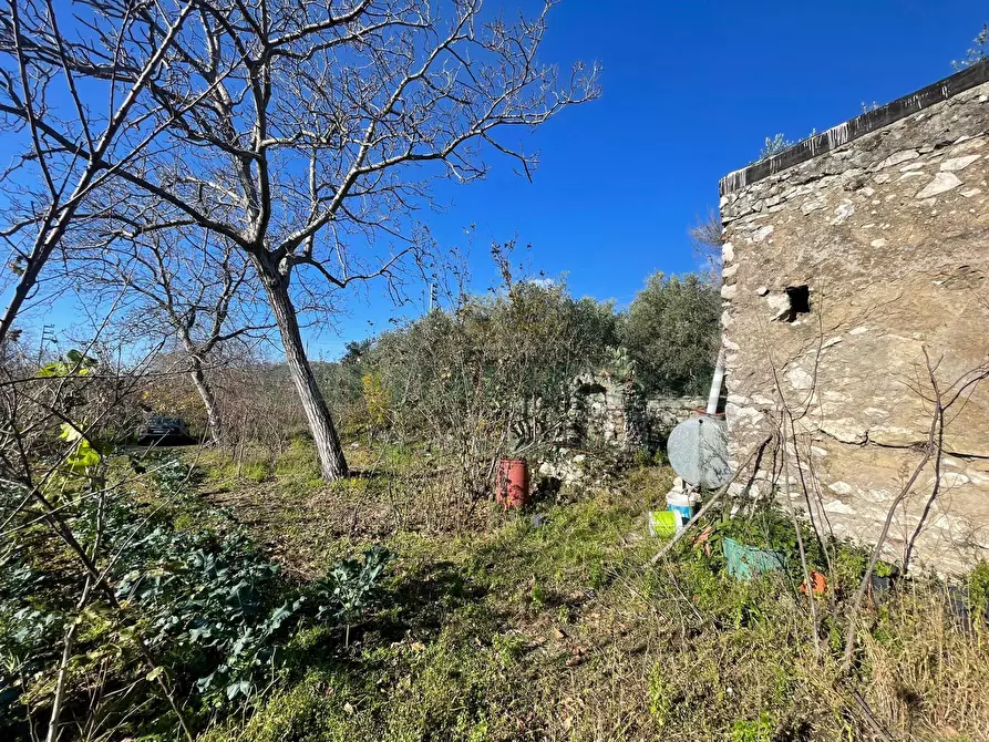 Immagine 5 di Terreno agricolo in vendita  in via tora a Avella