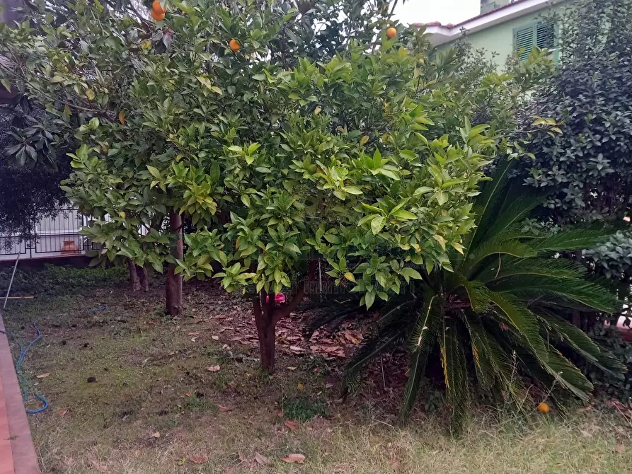 Immagine 6 di Villa in vendita  in viale michelangelo a Sirignano