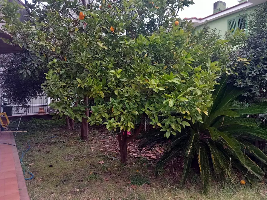 Immagine 7 di Villa in vendita  in viale michelangelo a Sirignano