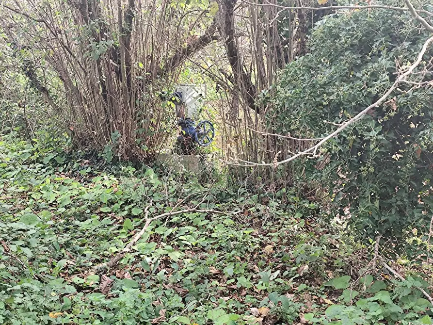Immagine 4 di Terreno agricolo in vendita  in VIA LAVINAIO a Mercato San Severino