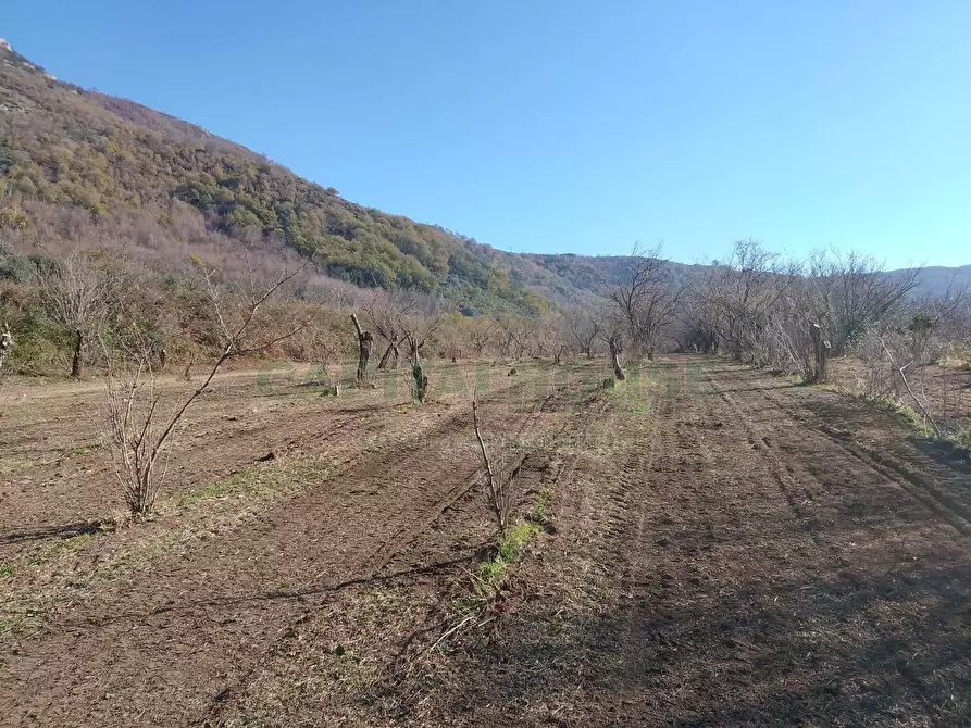 Immagine 4 di Terreno agricolo in vendita  in Via ciorani a Mercato San Severino