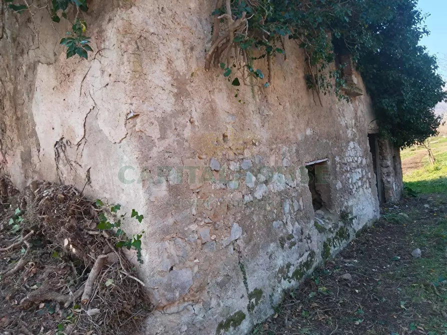 Immagine 2 di Terreno agricolo in vendita  in Via ciorani a Mercato San Severino