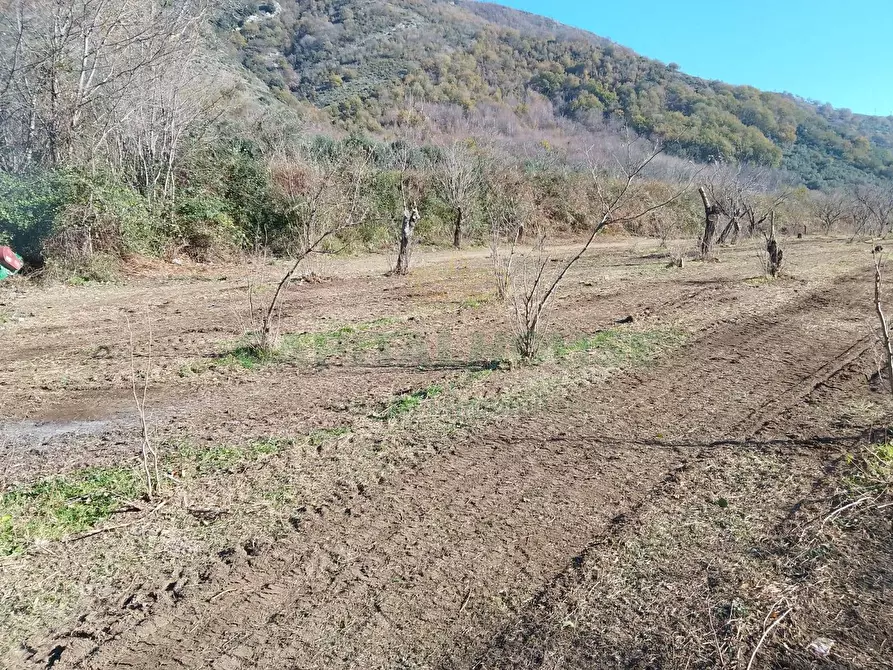 Immagine 5 di Terreno agricolo in vendita  in Via ciorani a Mercato San Severino