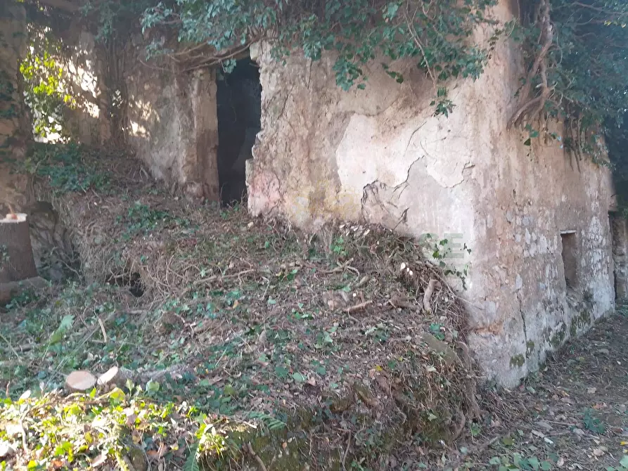 Immagine 3 di Terreno agricolo in vendita  in Via ciorani a Mercato San Severino