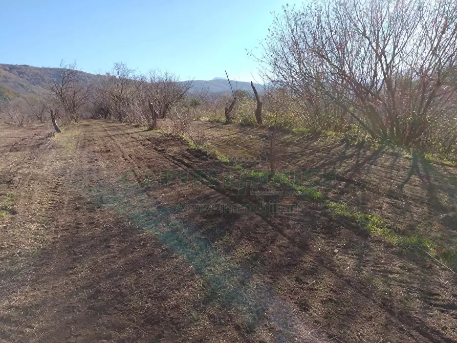 Immagine 6 di Terreno agricolo in vendita  in Via ciorani a Mercato San Severino