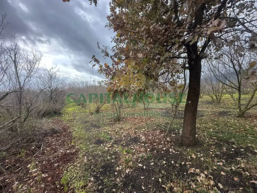 Immagine 11 di Rustico / casale in vendita  in via zabatta a Cercola